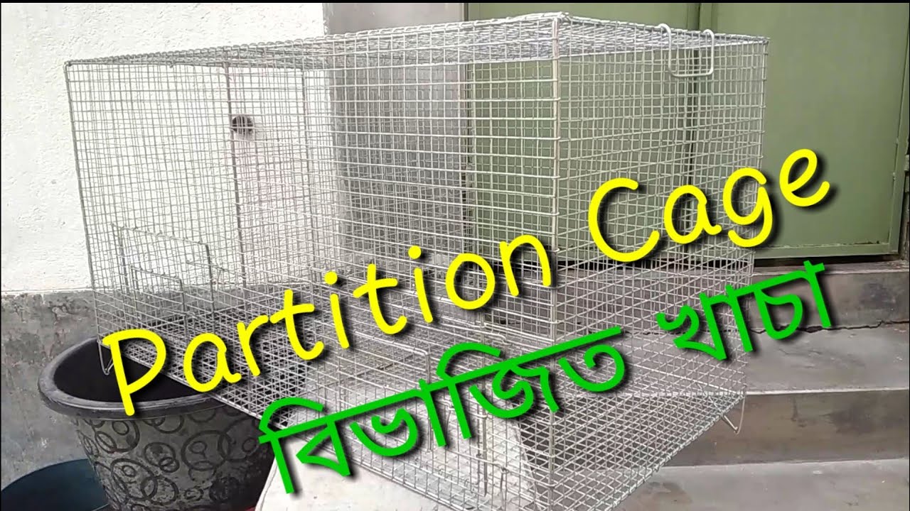Partition Cage
বিভাজিত খাচা