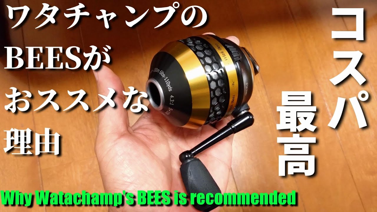 【スピンキャスト】WatachampのBeesがおススメな理由【初めてのスピンキャストに】