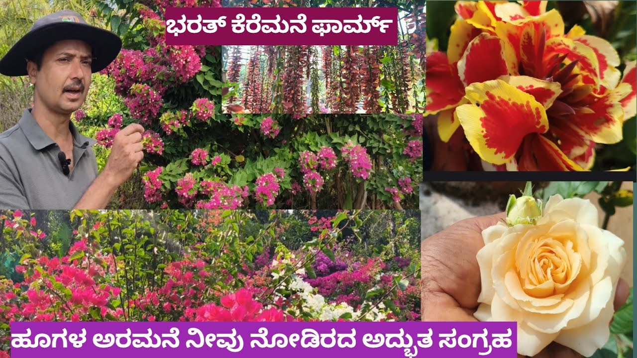 ಕೃಷಿಕರಾದರು ಅದ್ಭುತ ಹೂವಿನ ಸಂಗ್ರಹ ಮಾಡಿ ಉತ್ತಮ ಗಾರ್ಡನ್ ಮಾಡಿದ ಹೂ ಪ್ರಿಯರು 