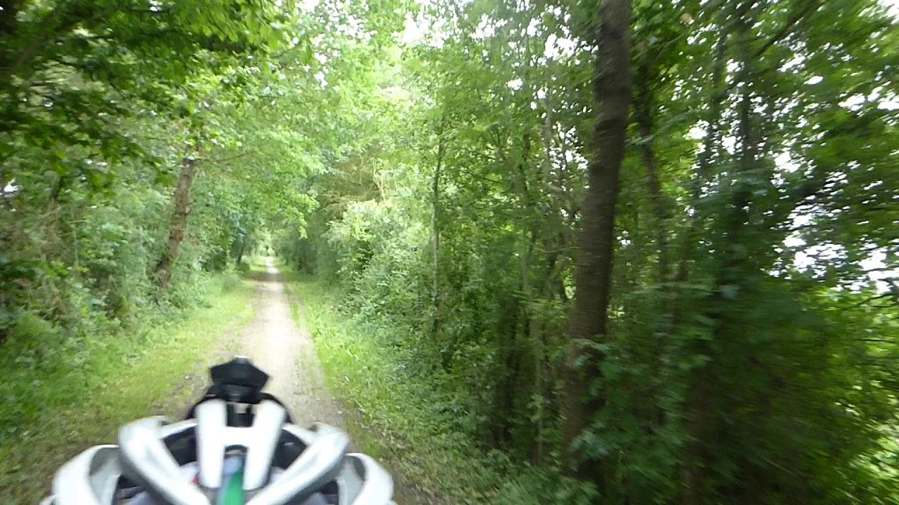 m05 cycling through beautiful tree lined paths