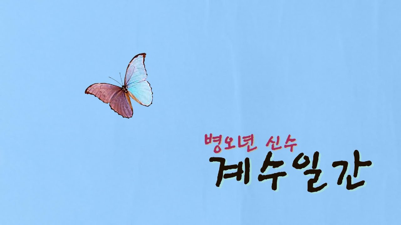 병오년 신수   계수