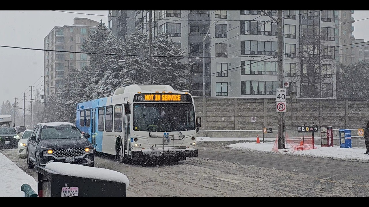 Foaming At Finch (YRT)