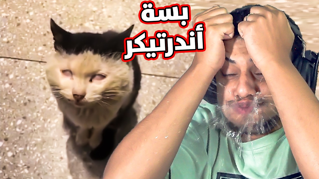 بسة الأندرتيكر!! #94 ميمز الحمقى