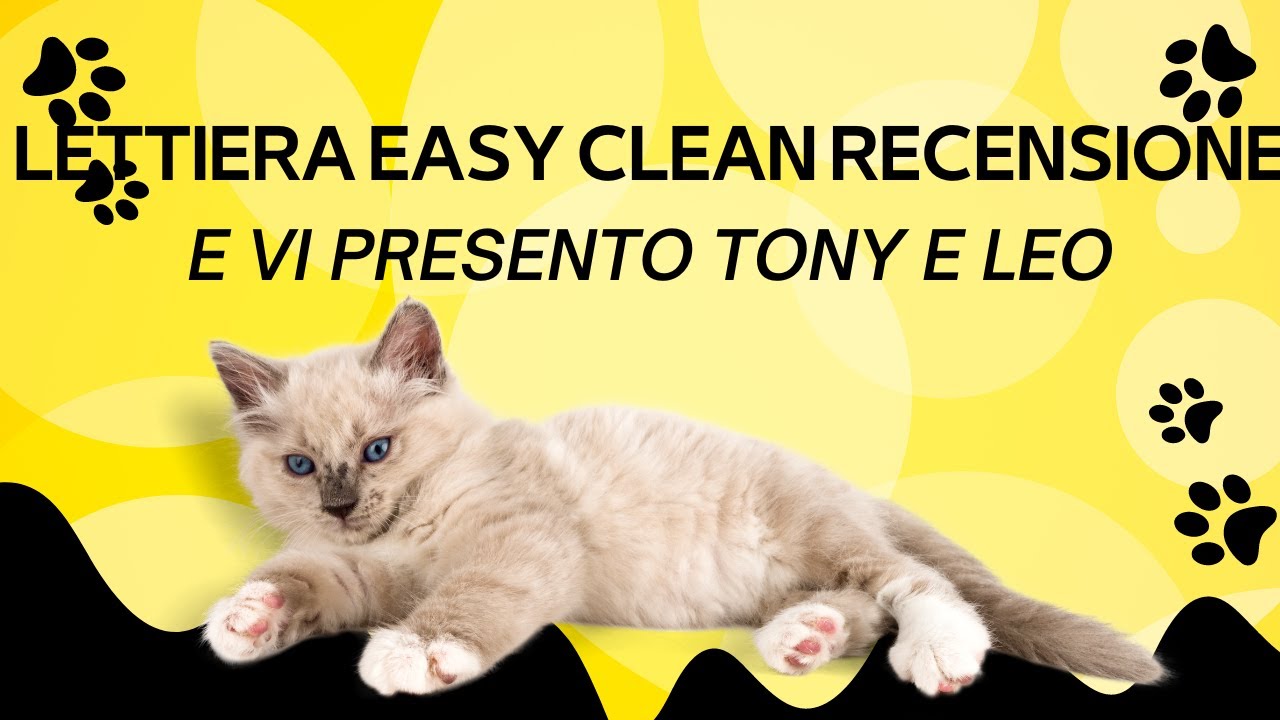 LETTIERA PER GATTI IN SILICIO - VI PRESENTO TONY E LEO