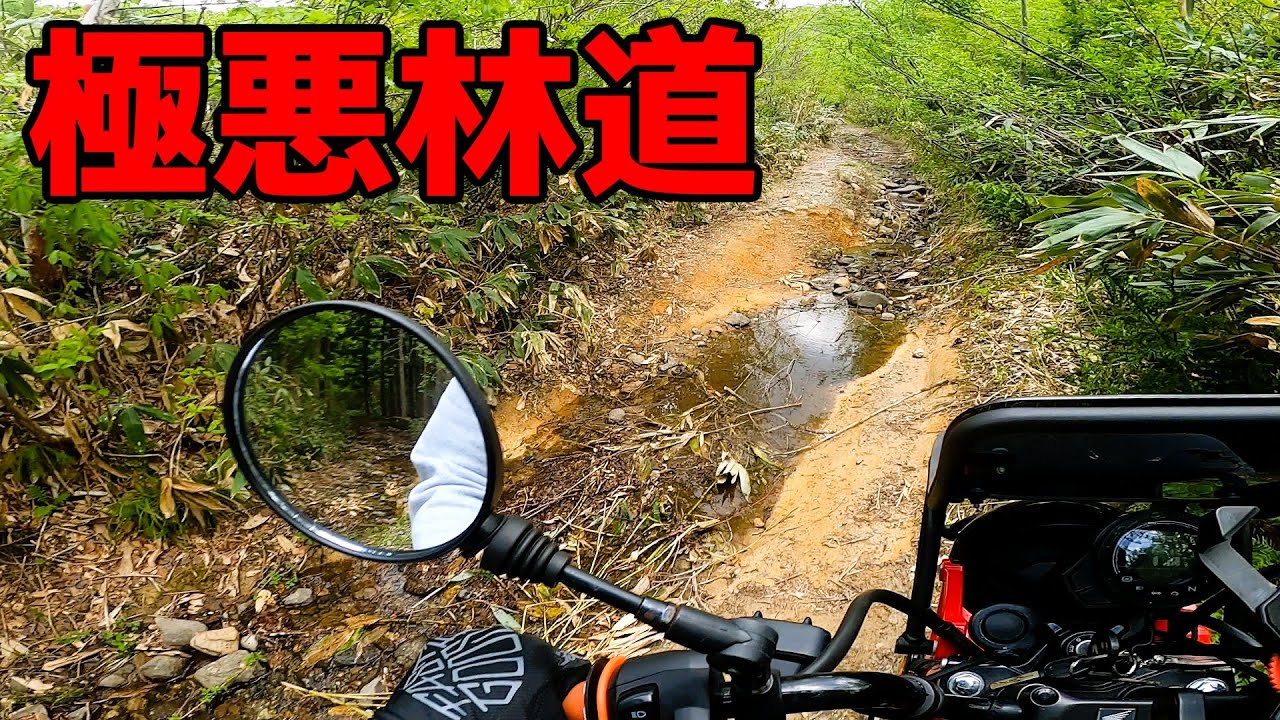 「福島に存在する極悪林道」林道を抜けたその先は絶景が広がる場所だった