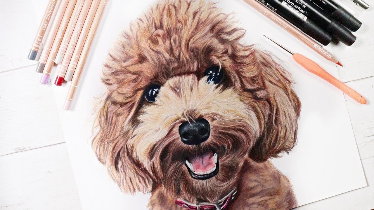 NASIL Çizdim?- Kuruboya ile GERÇEKÇİ Köpek Portresi - HAYAT KURTARAN Tüyolar!