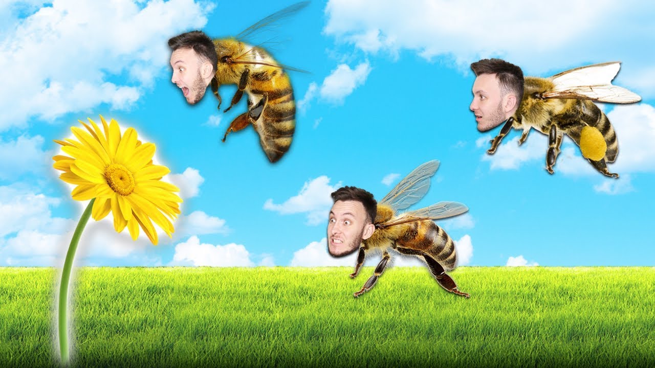 SIMULÁTOR VČELY! | Bee Simulator