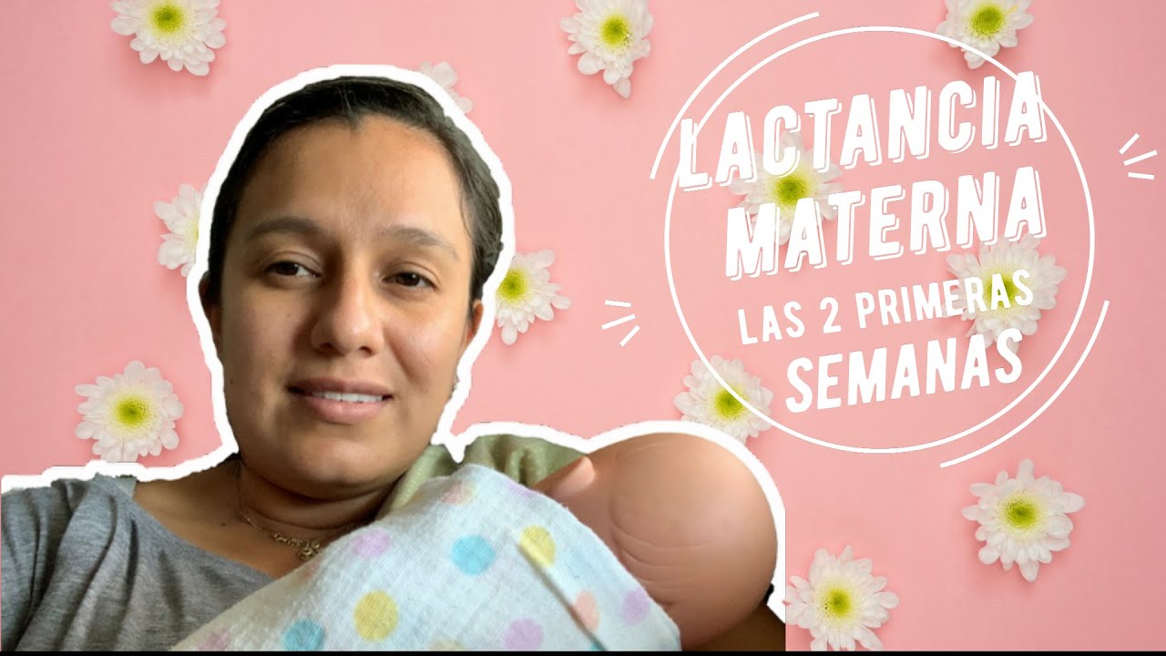 LACTANCIA MATERNA. CÓMO amamantar a un bebé. Qué esperar de las Primeras 2 semanas |Cachitos de Mamá