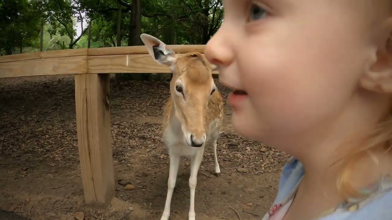 Deer Park Wisconsin Dells