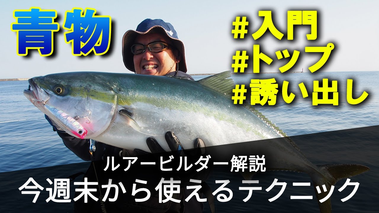 【青物入門者必見】青物トップ誘い出し入門