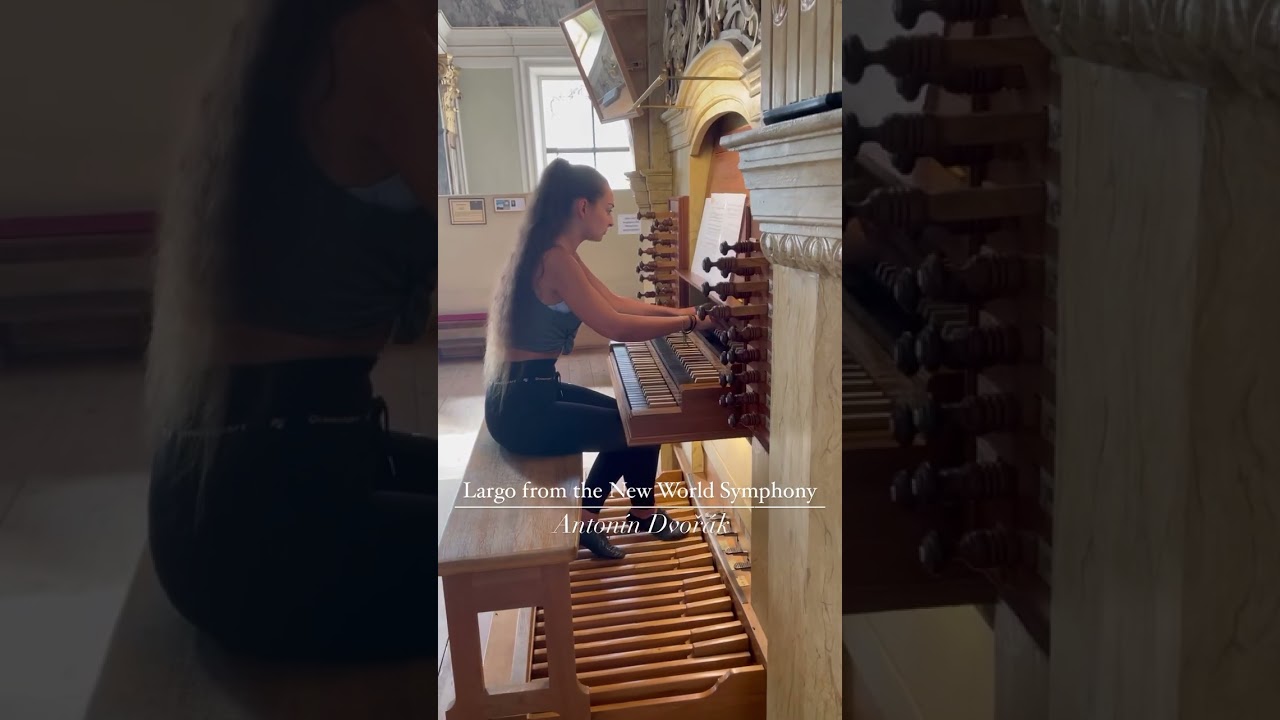 Largo from the New World Symphony - Antonin Dvorak