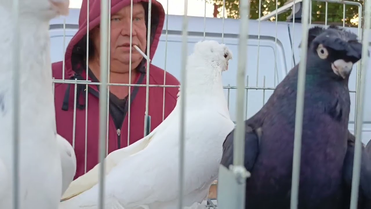Выставка Город Крапоткин!