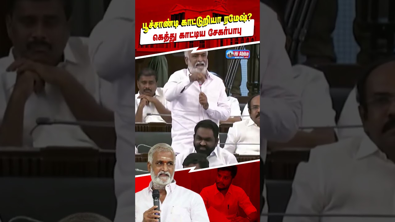 DMK vs TVK | HiAbbaTv