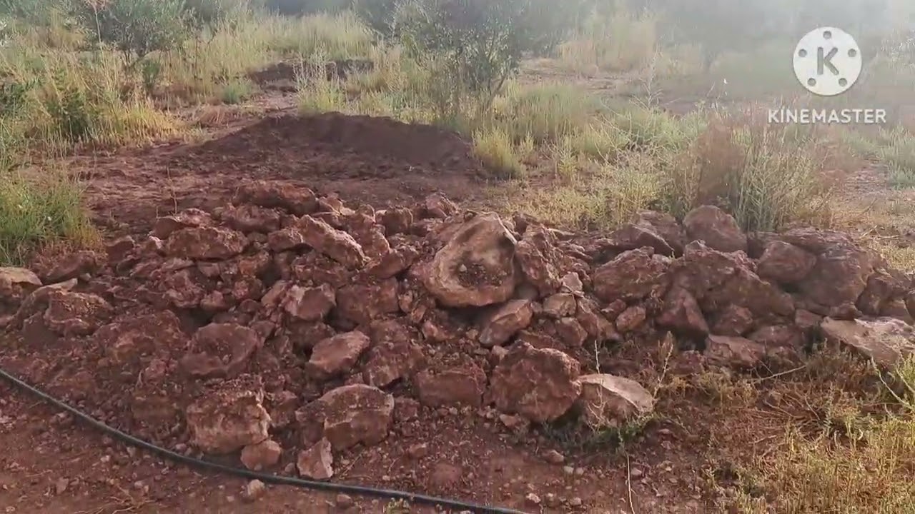 جولة فالبلاد  يوم 8 سبتمبر  2024 .#permaculture #permaculturelife #farming #nature