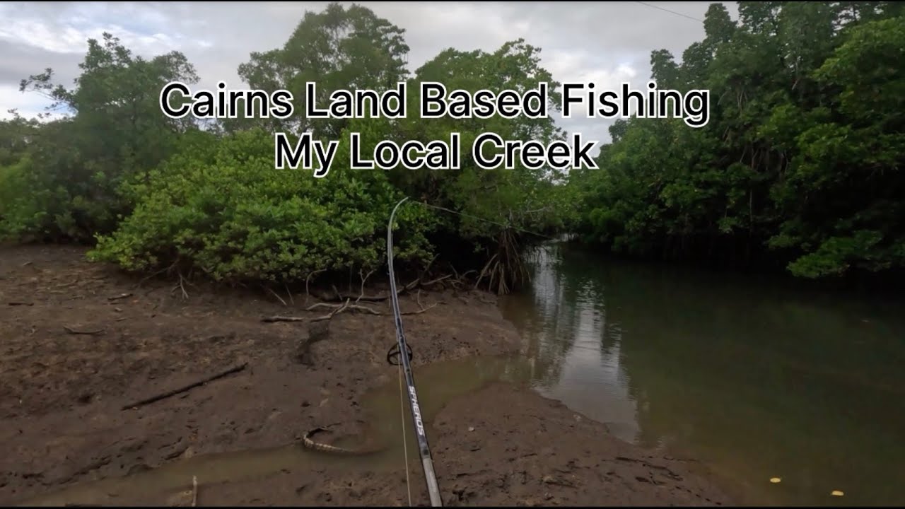 Cairns Land Based Fishing My Local Creek