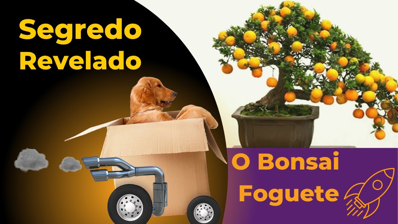 O Segredo para ter Bonsai Rápido, passo a passo Araçá Amarelo - Parte 1.
