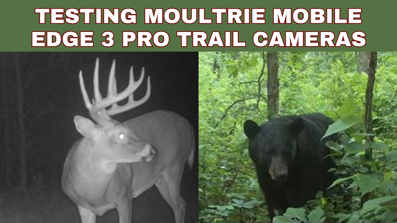 Testing the Moultrie Edge 3 Pro cell trail cam | Test Results