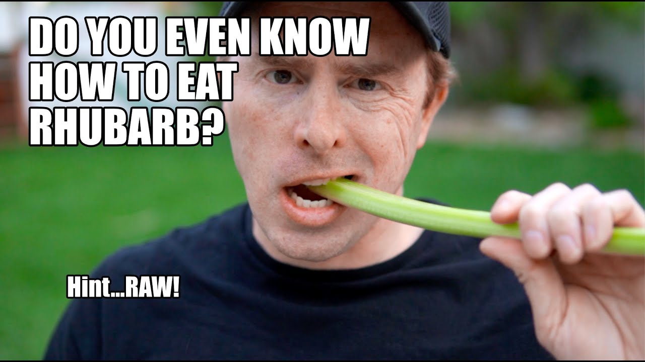 THIS is how you eat rhubarb.