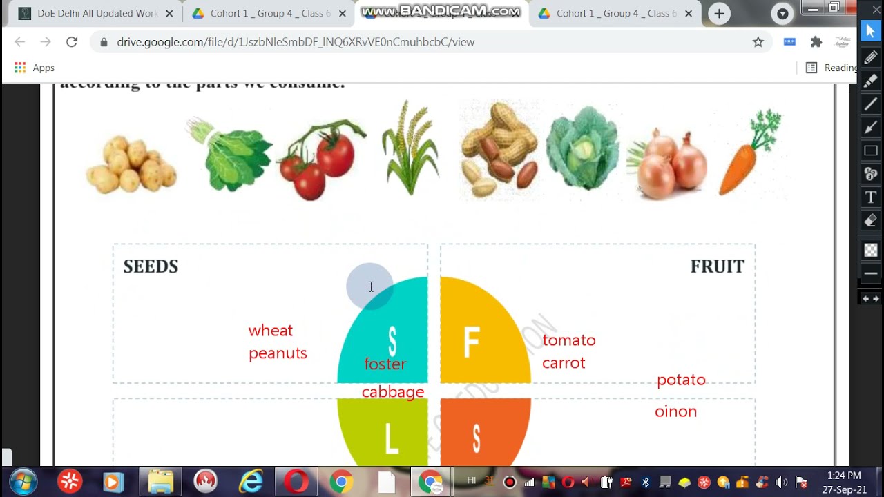 Class 6 Work Sheet-25 Science (01-10-2021) || Class 6 science worksheet:25 [DOE] || By Poonam Sharma