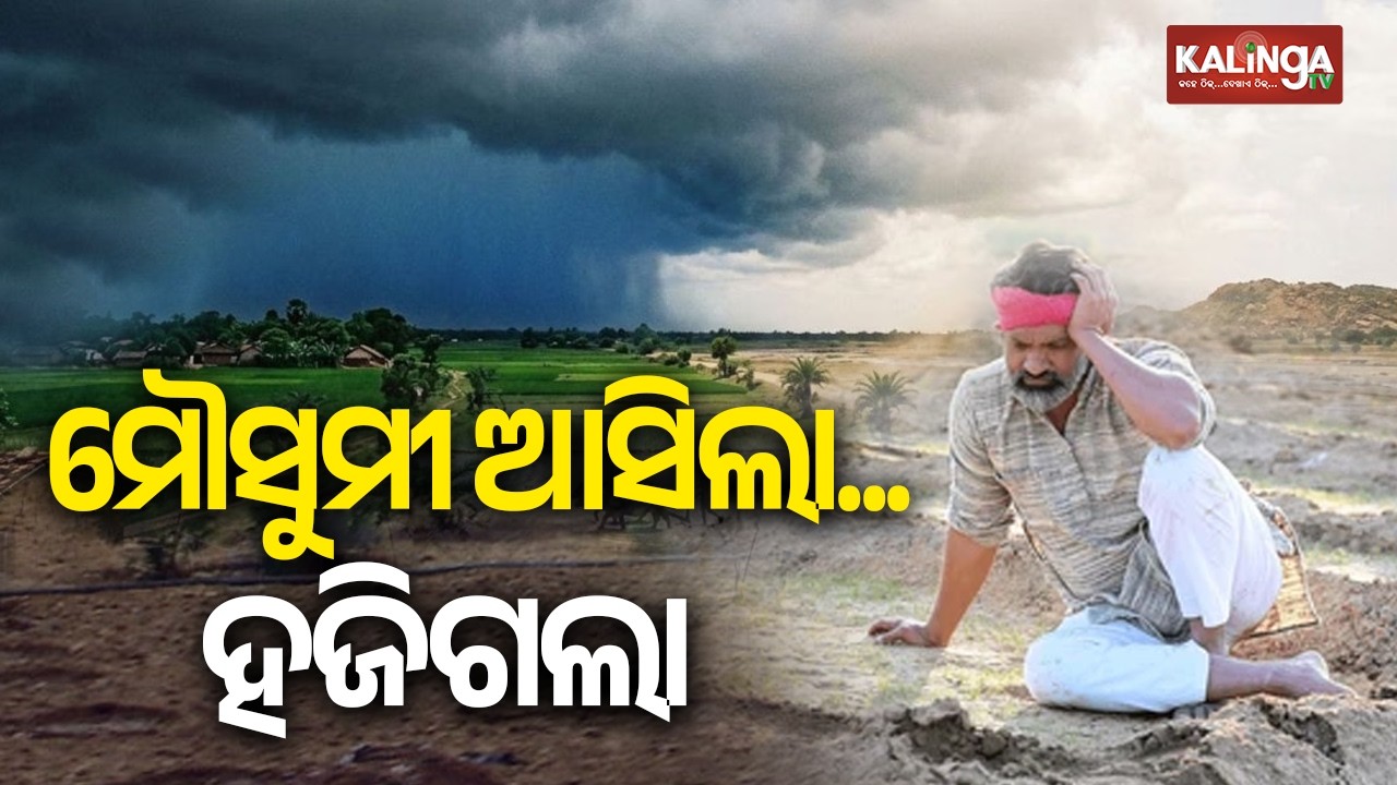 Monsoon Hits Odisha, But Rainfall Deficit Raises Farmers&rsquo; Concerns | Kalinga TV