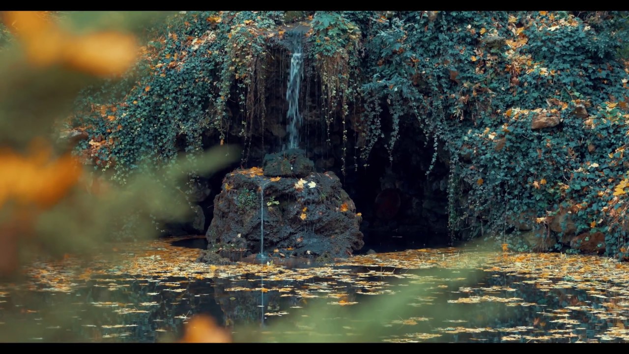 Test du Panasonic GH4 et du Lumix G 25mm 1.7 ASPH (4K).