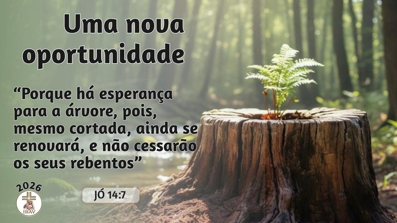O PROCESSO DE SANTIDADE - DIAC JÚLIA