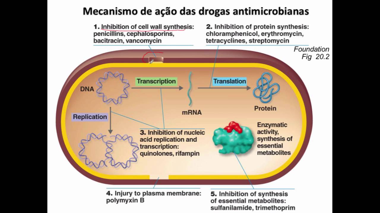 Curso de Farmacologia: Aula 29 - Introducao a antibioticoterapia