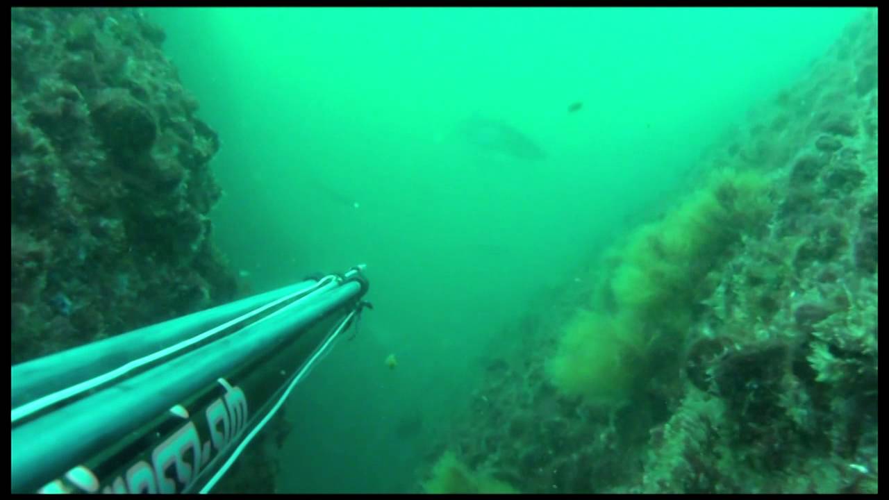 Pesca Submarina con Ricardo Gonzalez en las hostiles aguas del Atlántico