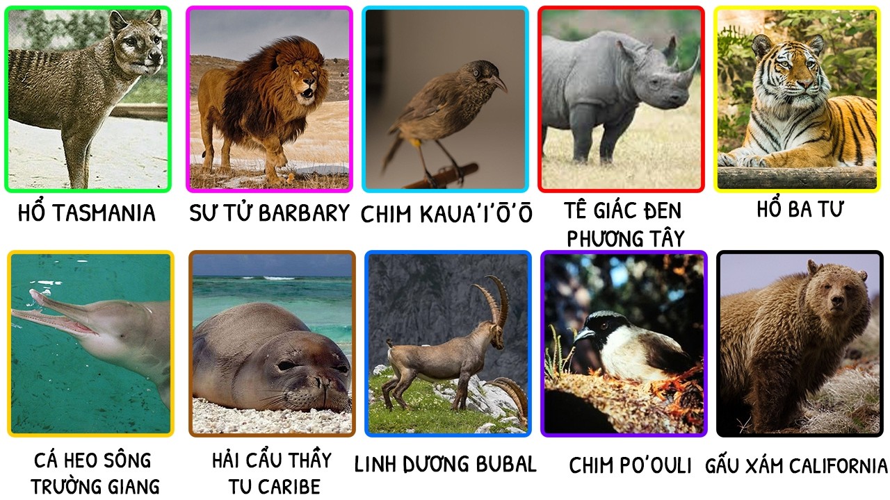 10 Khoảnh Khắc Cuối Cùng Trước Khi Họ Biến Mất Hoặc Qua Đời – Những Hình Ảnh Gây Ám Ảnh Nhất