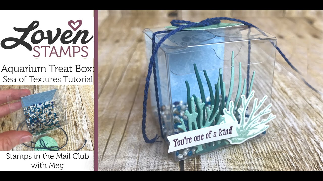 Make Your Own Mini Aquarium: Under The Sea Treat Box