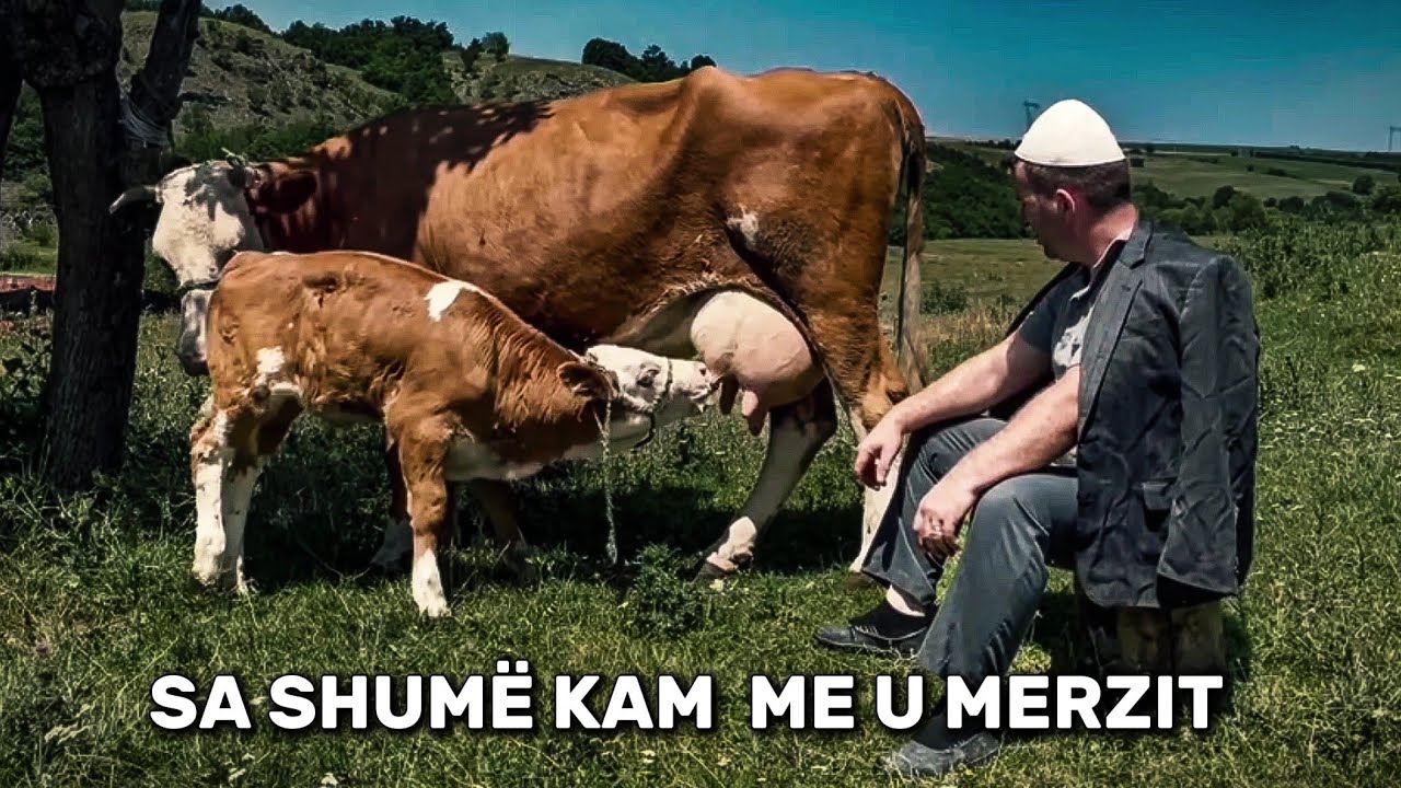 Tregime popullore - Sa shumë ka me u merzit