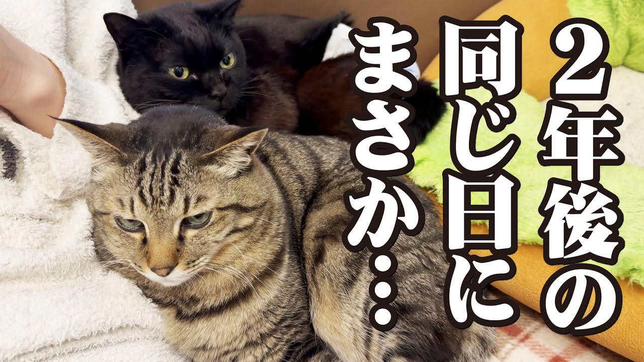 2年前の大地震の教訓がまさか2年後の同じ日に活かされるとは！