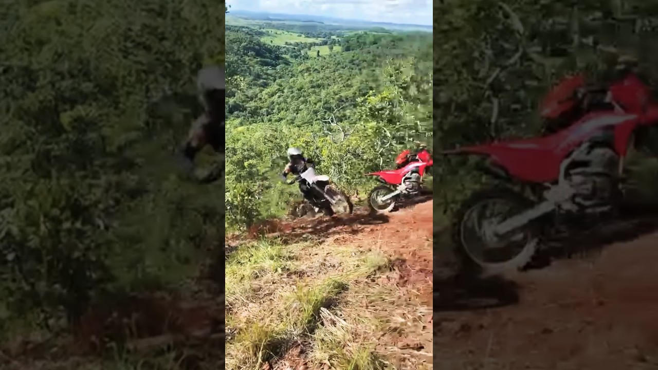 CRF 310