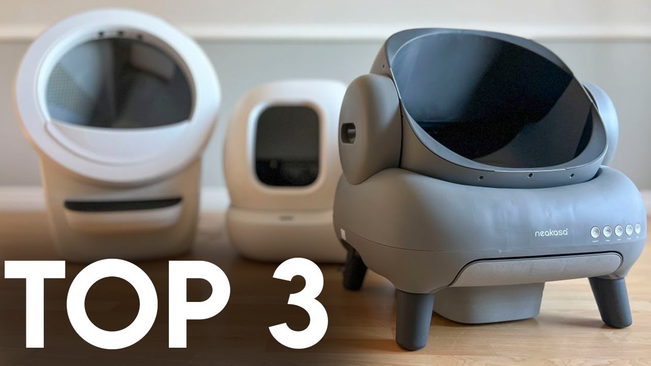 TOP 3 : Meilleure Litière Autonettoyante 2025