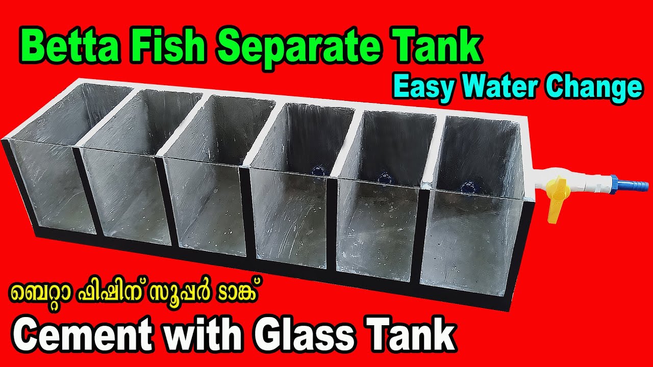 Aquarium Tank # Cement Tank # Cement with Glass Tank # Cement Crafts # Aqua Tales # Das Intermedia