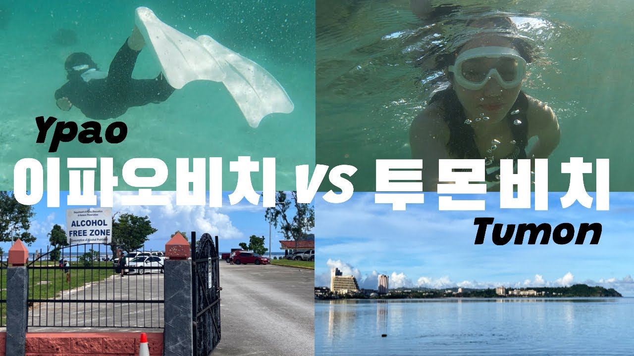 [괌 VLOG] 괌에서 물고기 1000마리 만난 썰/ 이파오비치/ 투몬비치/ 스노쿨링