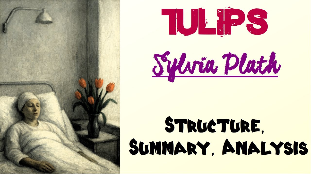Tulips by Sylvia Plath | Structure, Line by Line Summary, Analysis