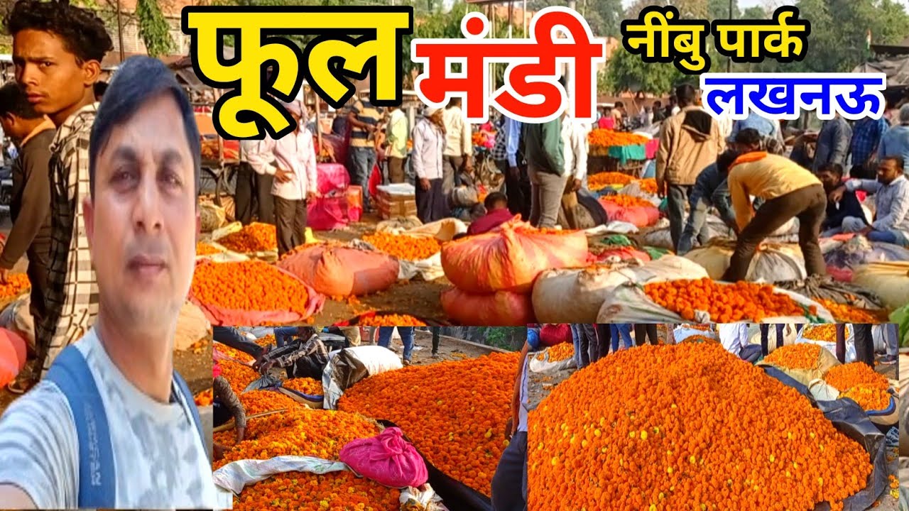 नवरात्रि मे यहाँ से खरीदे सबसे सस्ता फूल 💐🌸💮🌹|लखनऊ फूल मंडी |सबसे सस्ती फूल मंडी