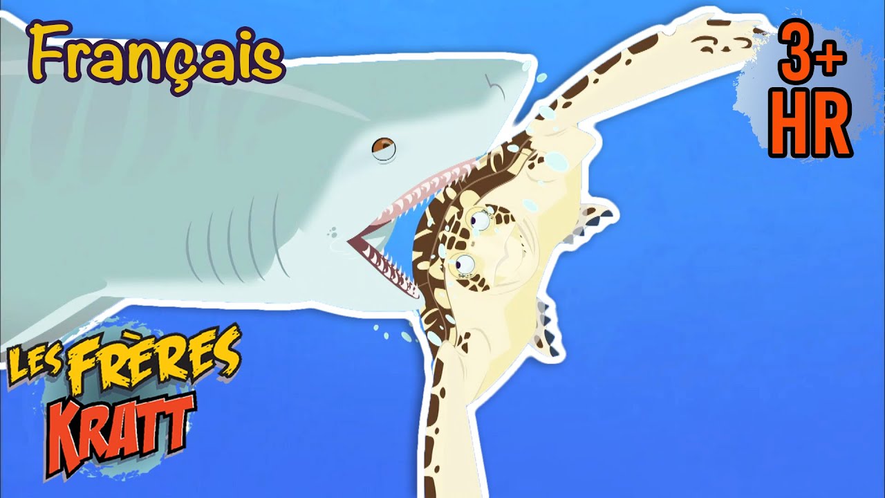 Un requin attaque une tortue de mer [épisodes complets] Les Frères Kratt