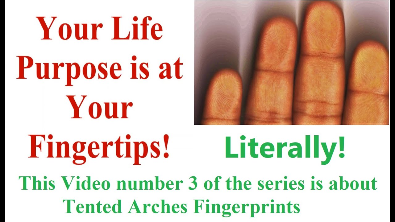 Your Life Purpose is at Your Fingertips! Characteristics of Tented Arches Fingerprints Part 3