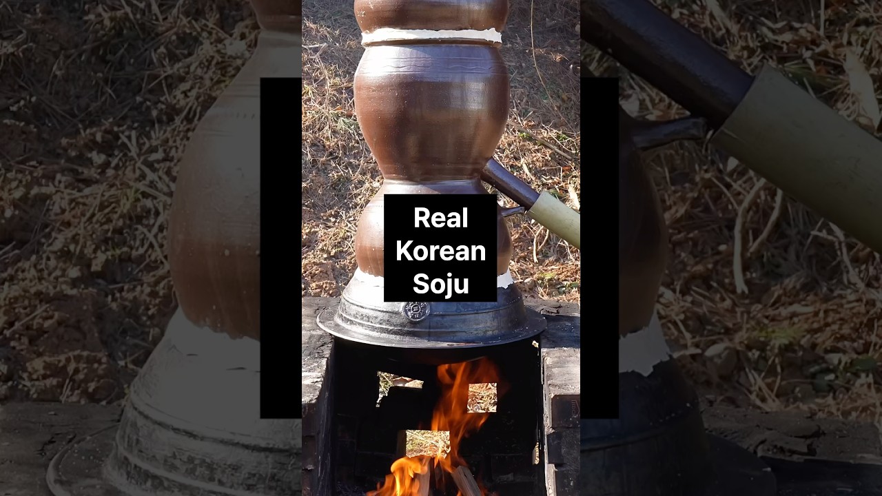 200-летний корейский красный крепкий напиток, приготовленный дома #еда #соджу #домашнеепиво #пиво...