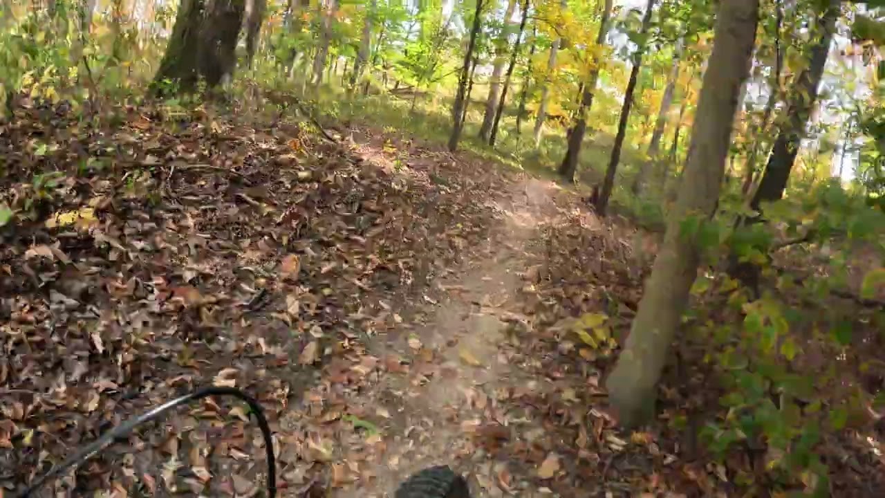 Laurel Hills VA MTB
