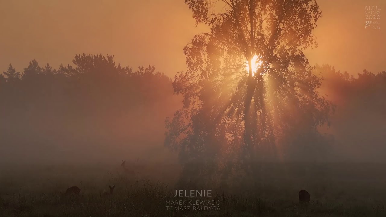 Warsztaty: Tomasz Bałdyga, Marek Klewiado - „Jelenie”