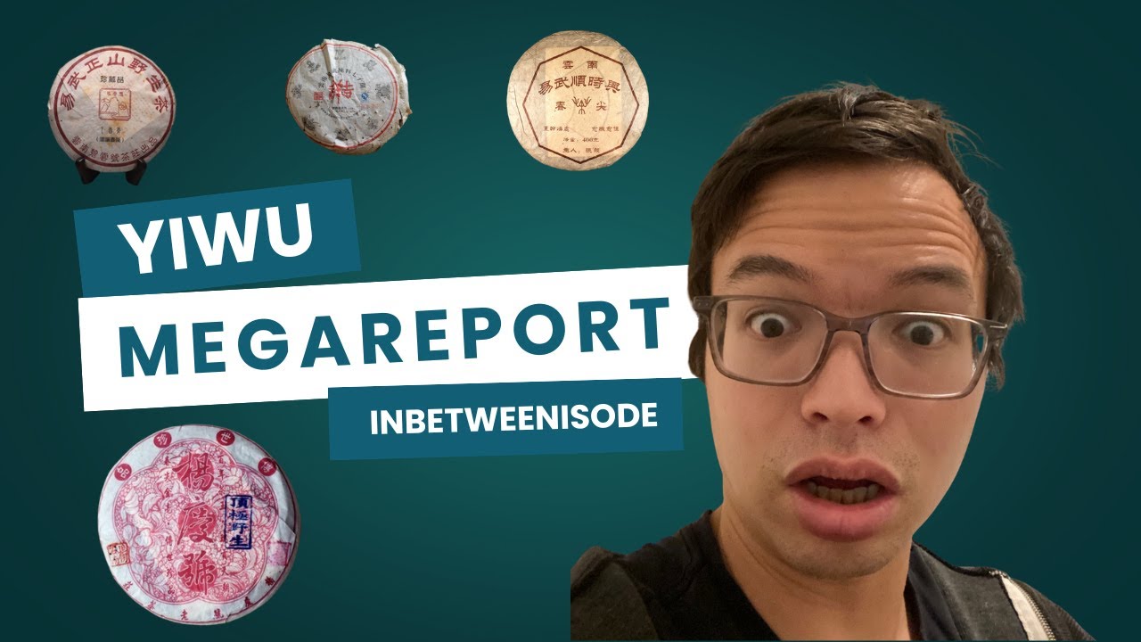 103 Yiwu Teas Reviewed. Yiwu Megareport!!! [Inbetweenisode 440]