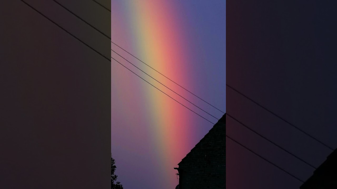 𝐁𝐥𝐞𝐚𝐜𝐡𝐞𝐝-𝐕𝐢𝐝𝐞𝐨 𝐃𝐚𝐲𝐬 (𝐬𝐩𝐞𝐝𝐮𝐩)