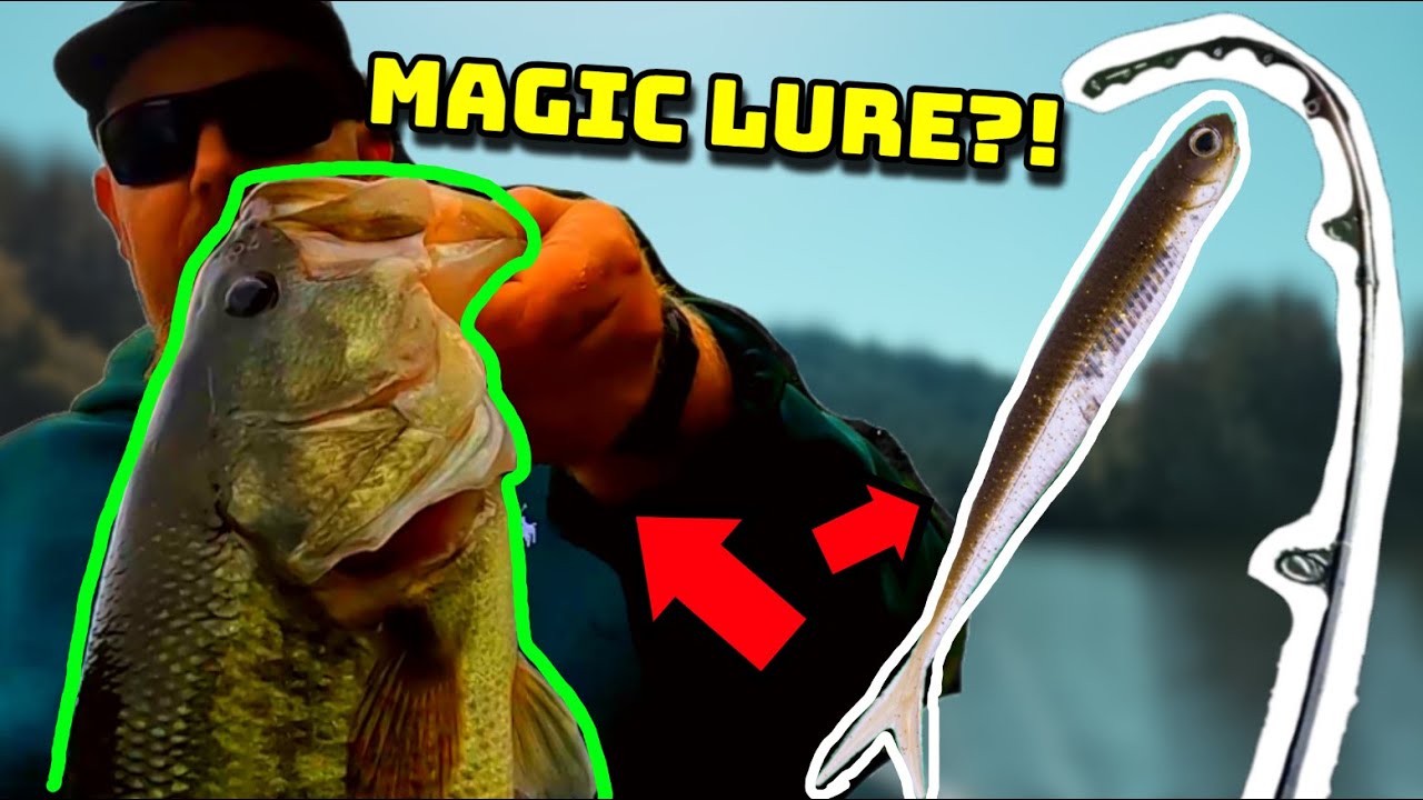 SO MANY BASS! (Summer Finesse Bass Fishing)