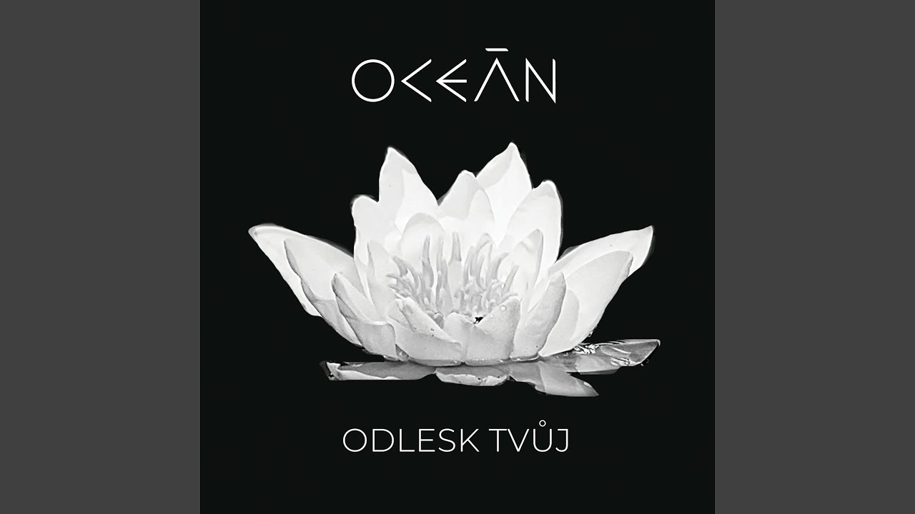 Odlesk tvůj (Radio Mix)