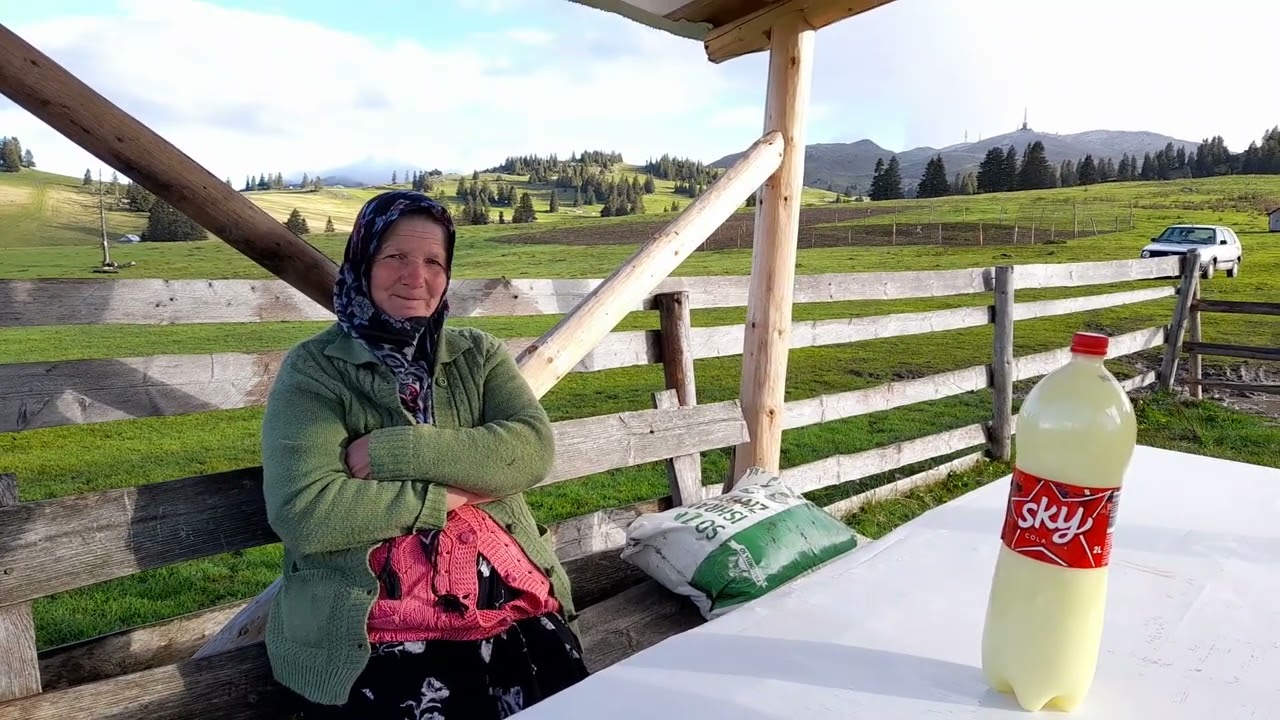 vlasicki ovcari tornjaci