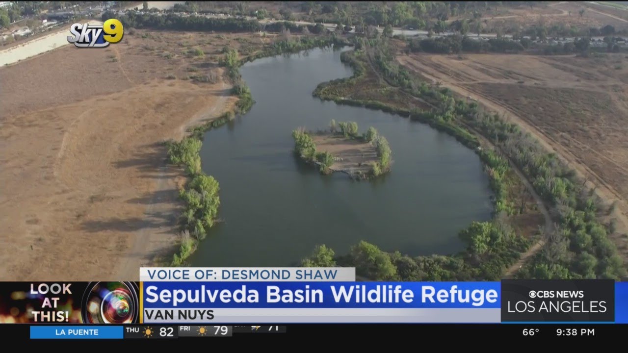 Look At This!: Sepulveda Basin Wildlife Refuge