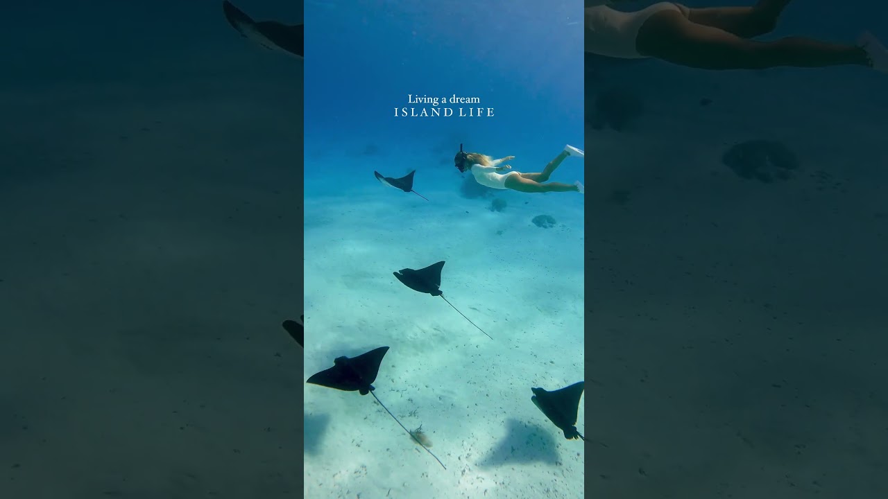 Currently living in my Moana era 🐠💦🏝️ #worldplaces #hotelsandresorts